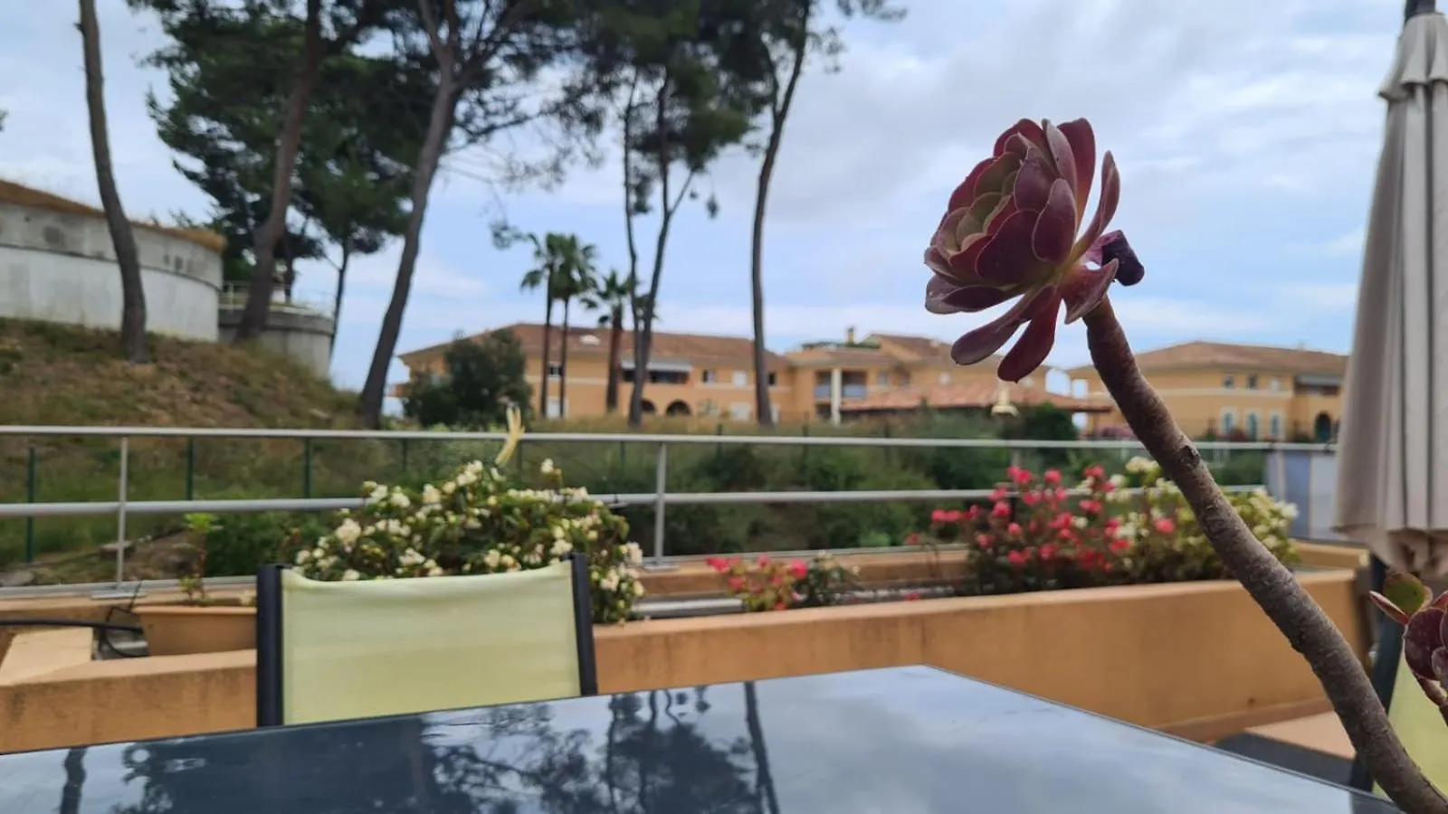 Coin De Paradis, Piscine, Parking, Terrasse Biot 0*,