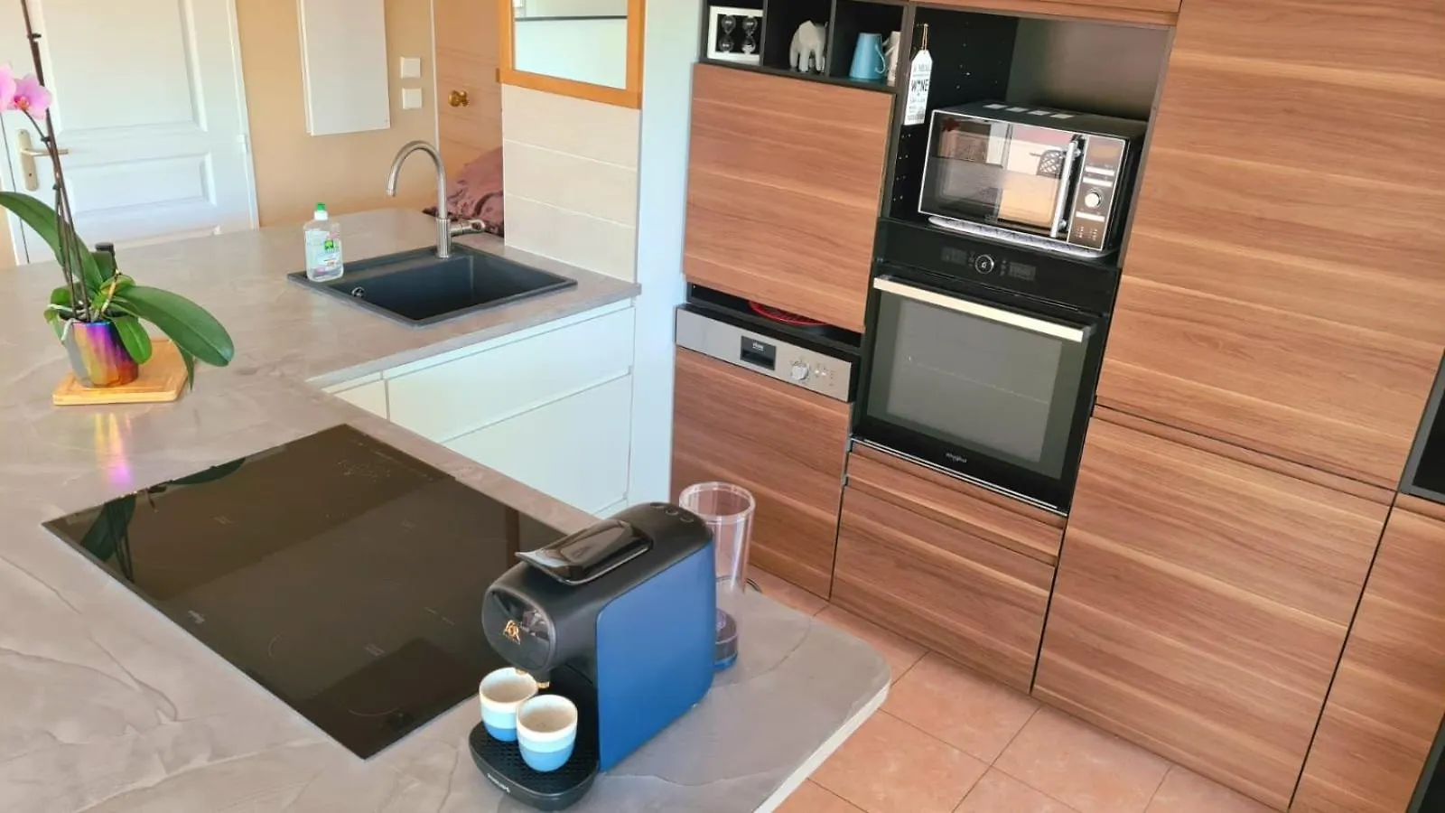 Apartment Coin De Paradis, Piscine, Parking, Terrasse Biot France